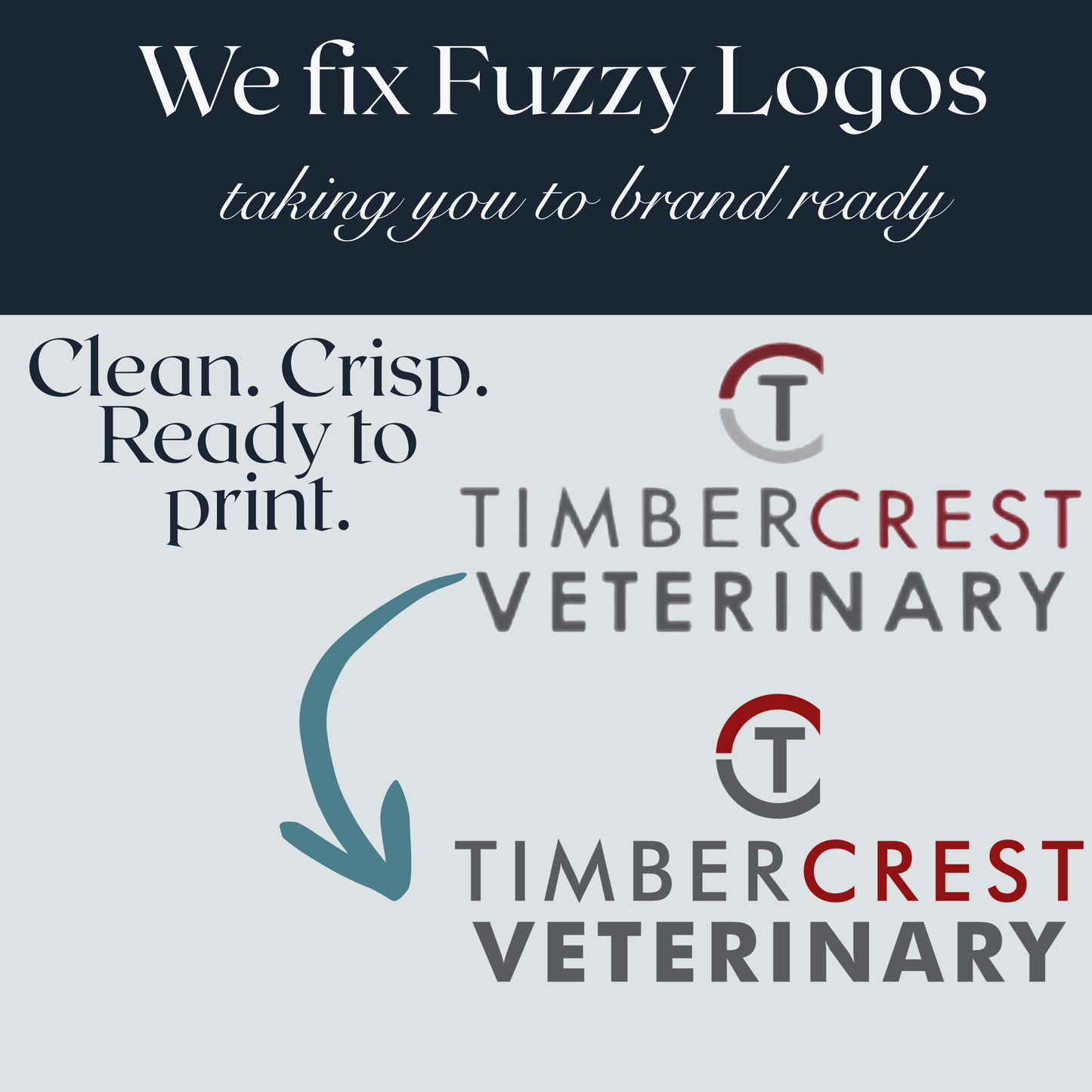 Professional Logo Cleanup & Redraw