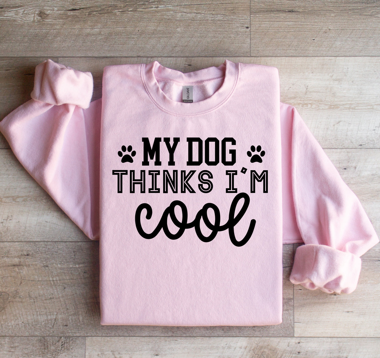 My Dog Thinks I'm Cool T-shirt or Sweatshirt