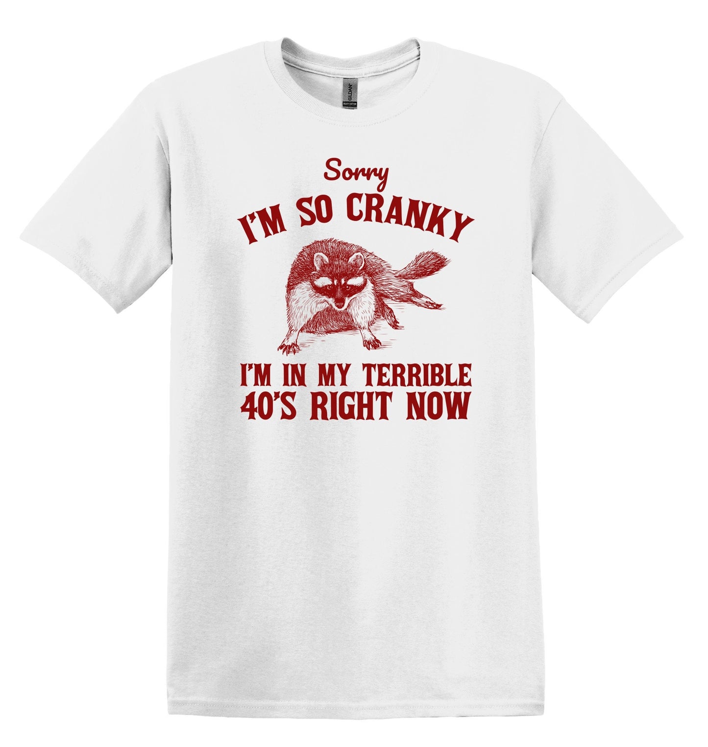 Sorry I'm so Cranky I'm in my Terrible 40s Right Now Shirt Raccoon Shirt Funny Birthday Shirt 40th Birthday Nostalgia Shirt Birthday Shirt