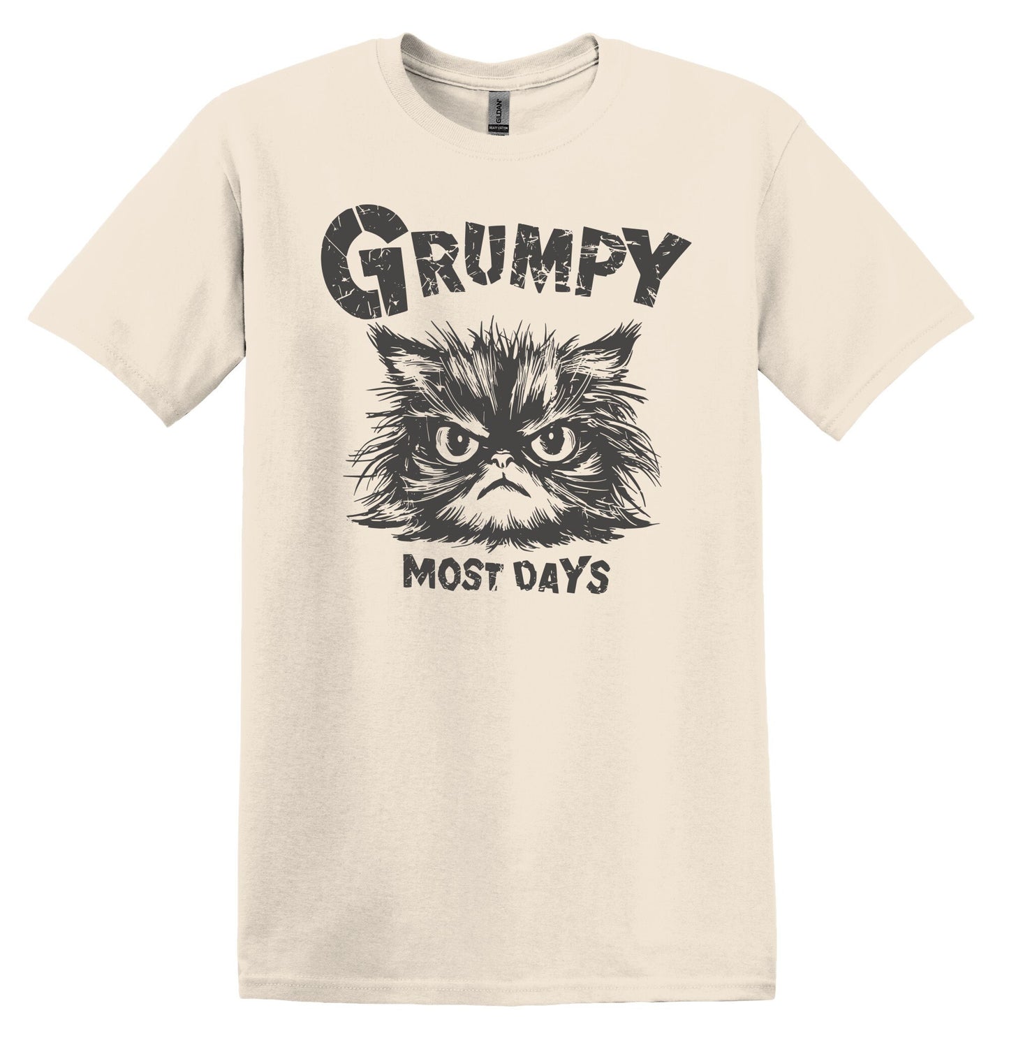 Grumpy Most Days Grey Shirt Graphic Shirt Retro Adult Shirt Vintage T-Shirt Cotton Tee Meme Shirt Trendy T-Shirt Funny Gift