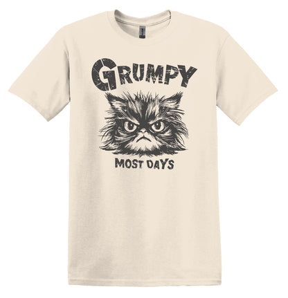 Grumpy Most Days Grey Shirt Graphic Shirt Retro Adult Shirt Vintage T-Shirt Cotton Tee Meme Shirt Trendy T-Shirt Funny Gift