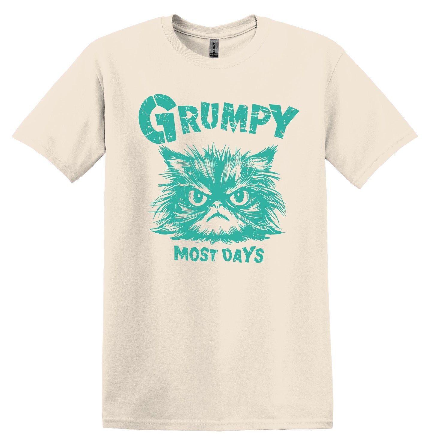 Grumpy Most Days Green Shirt Graphic Shirt Retro Adult Shirt Vintage T-Shirt Cotton Tee Meme Shirt Trendy T-Shirt Funny Gift