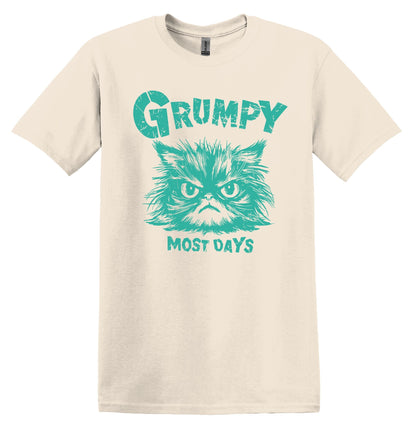 Grumpy Most Days Green Shirt Graphic Shirt Retro Adult Shirt Vintage T-Shirt Cotton Tee Meme Shirt Trendy T-Shirt Funny Gift