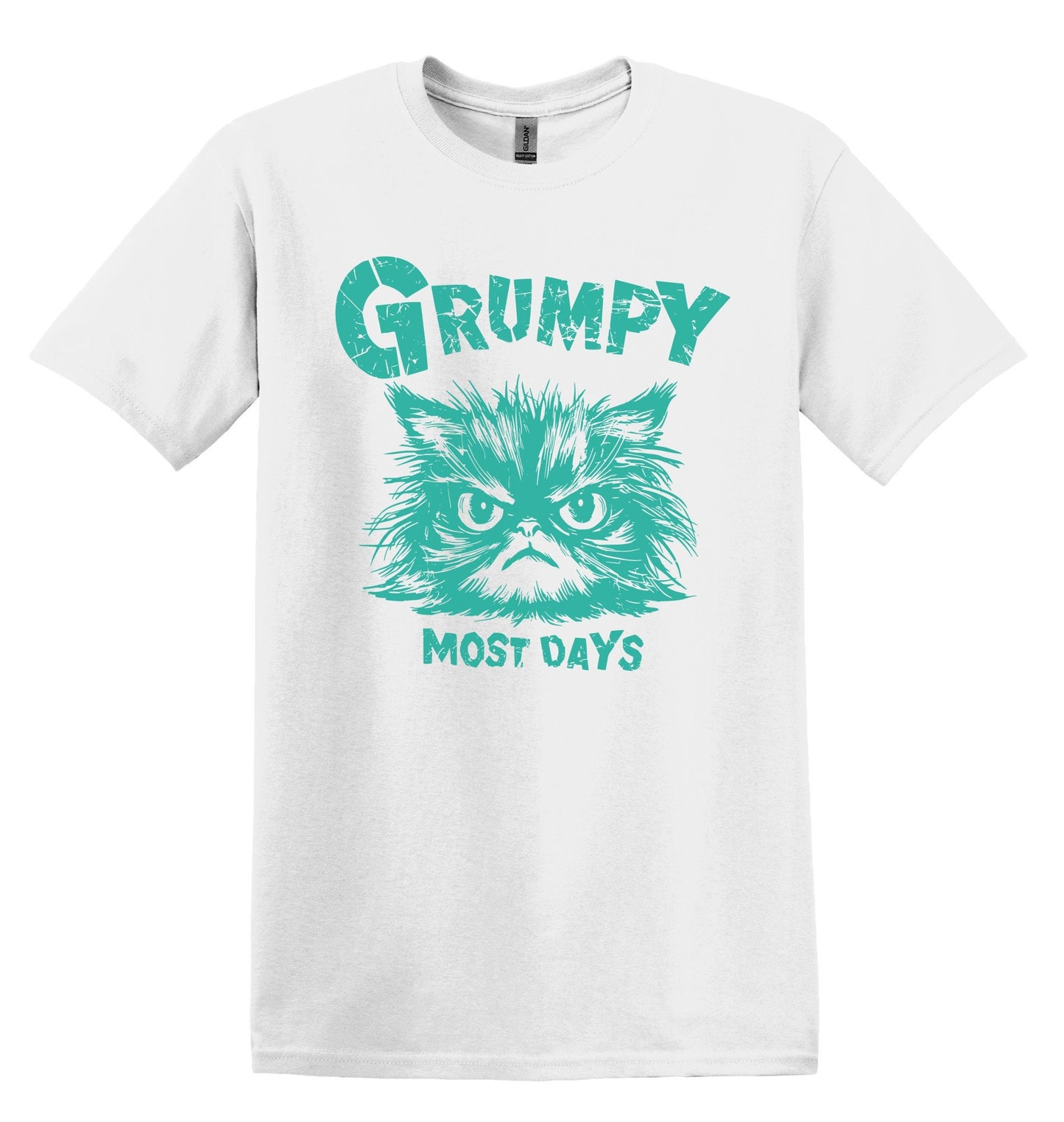 Grumpy Most Days Green Shirt Graphic Shirt Retro Adult Shirt Vintage T-Shirt Cotton Tee Meme Shirt Trendy T-Shirt Funny Gift