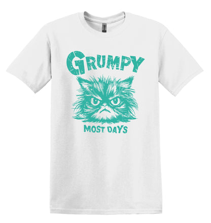 Grumpy Most Days Green Shirt Graphic Shirt Retro Adult Shirt Vintage T-Shirt Cotton Tee Meme Shirt Trendy T-Shirt Funny Gift