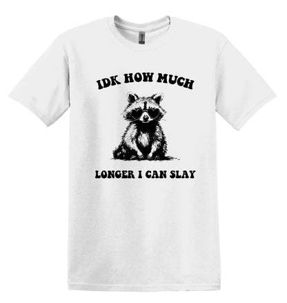 IDK How Much Longer I Can Slay Shirt Graphic Shirt Funny Shirts Vintage Funny T-Shirts Raccoon Shirt Minimalist Shirt