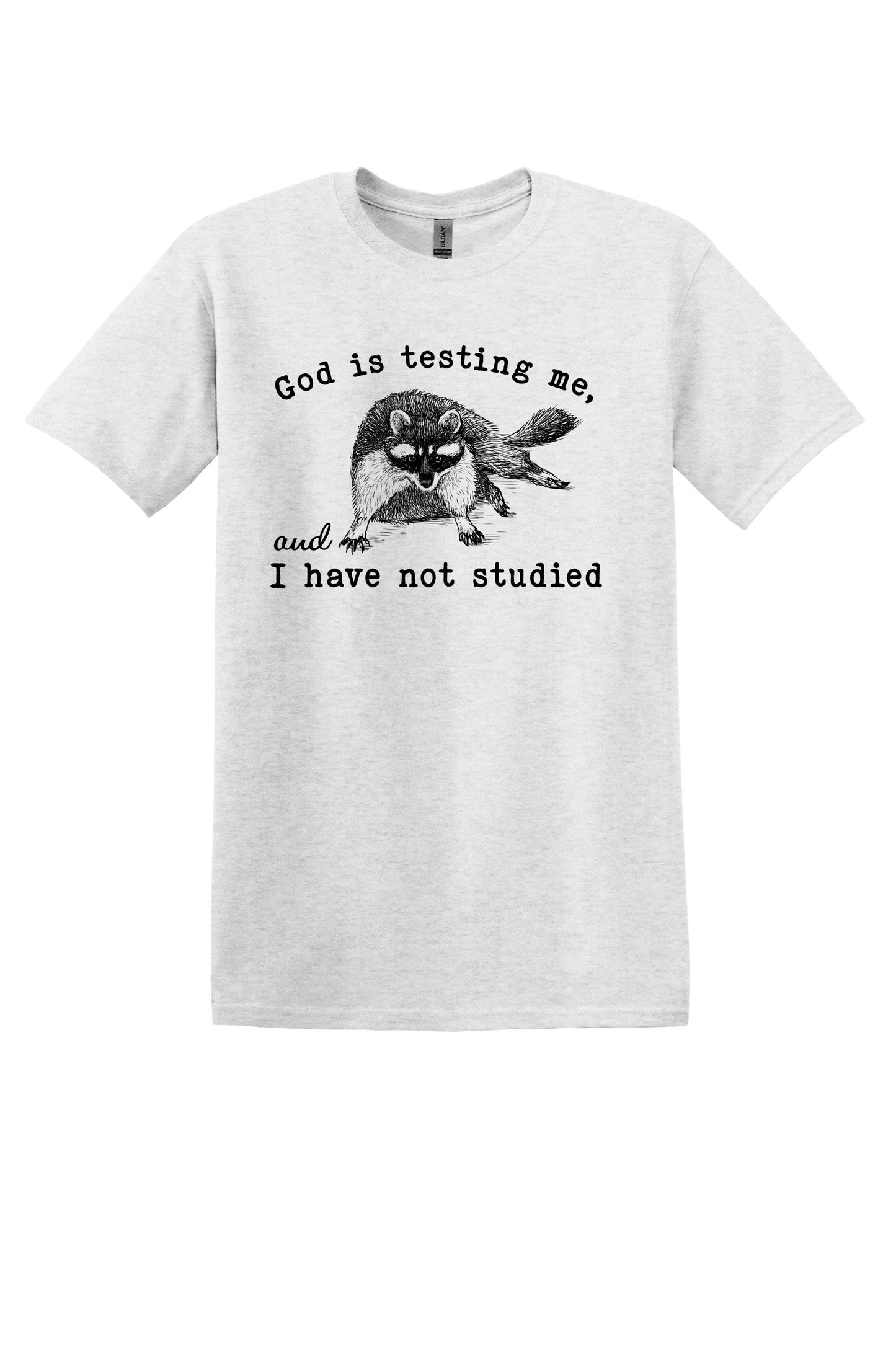 T-shirt Graphic Shirt Funny Adult TShirt Vintage Funny TShirt Nostalgia T-Shirt Relaxed Cotton Tee God is Testing Me and I Have Not Studied