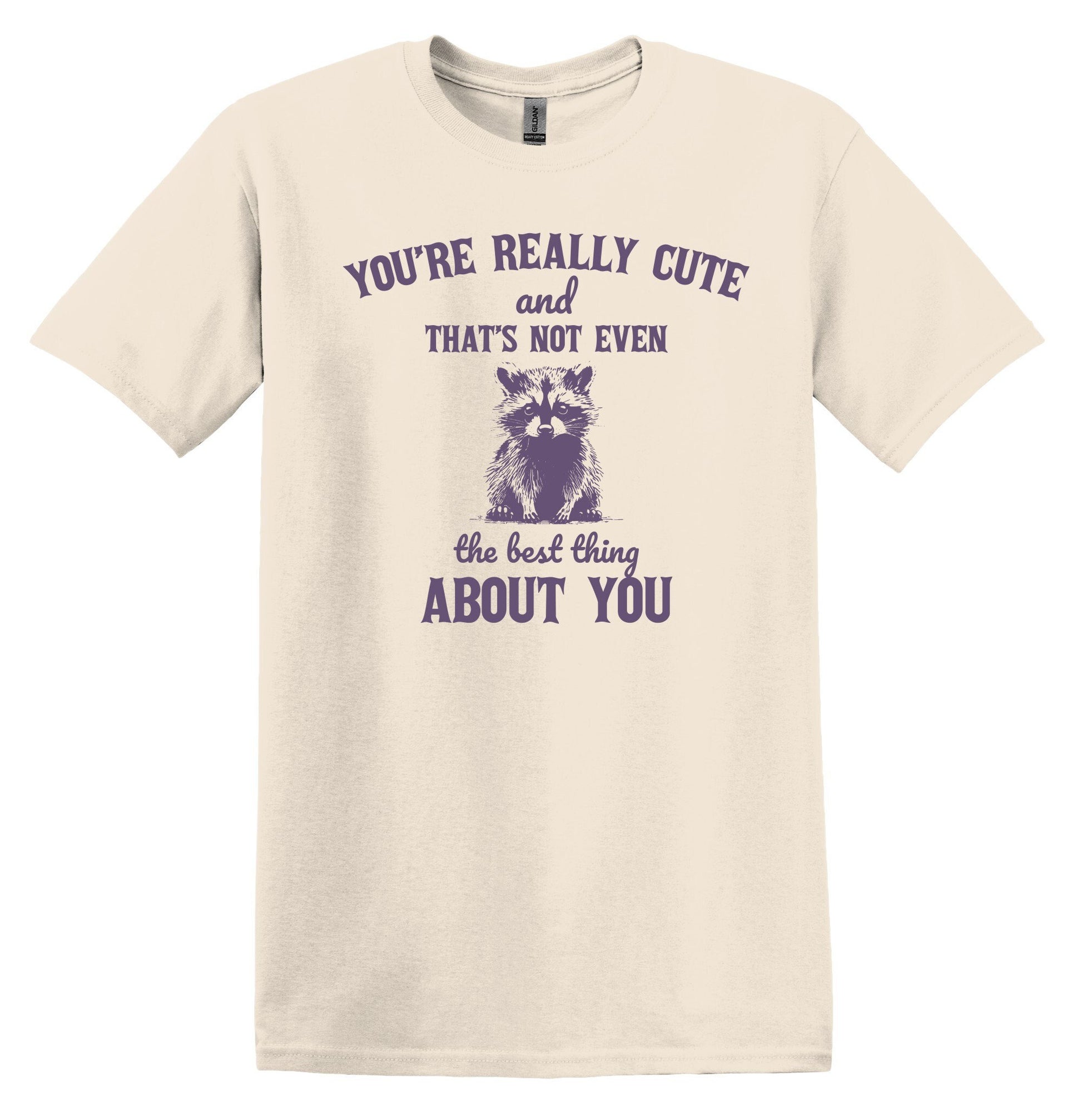 You're Really Cute Raccoon Shirt Graphic Shirt Funny Shirt Vintage Tshirt Nostalgia Shirt Minimalist Gag Shirt Meme Shirt Minimalist Shirt