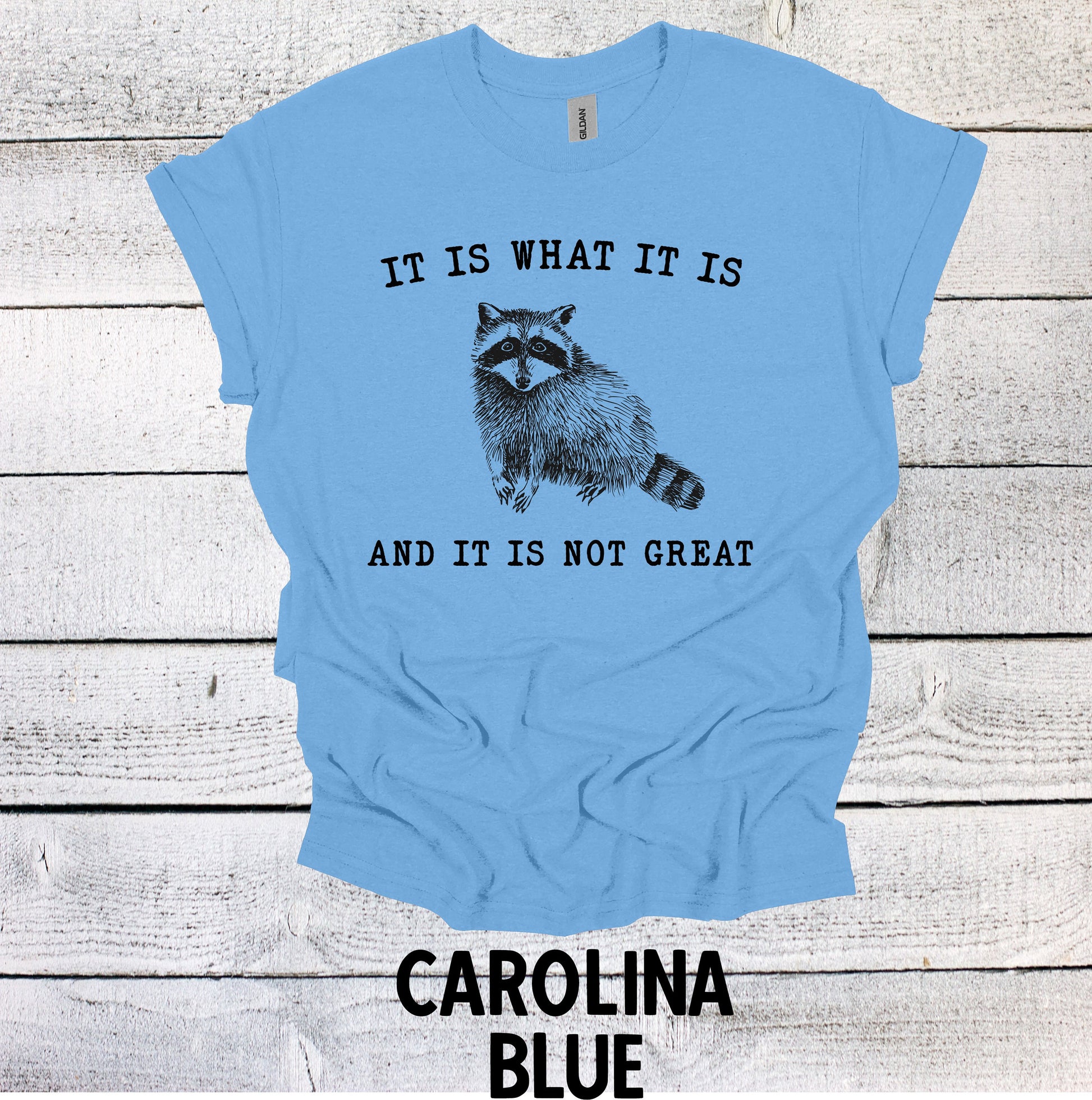 Funny Raccoon Shirt - It is What it is and it is Not Great Graphic Tee