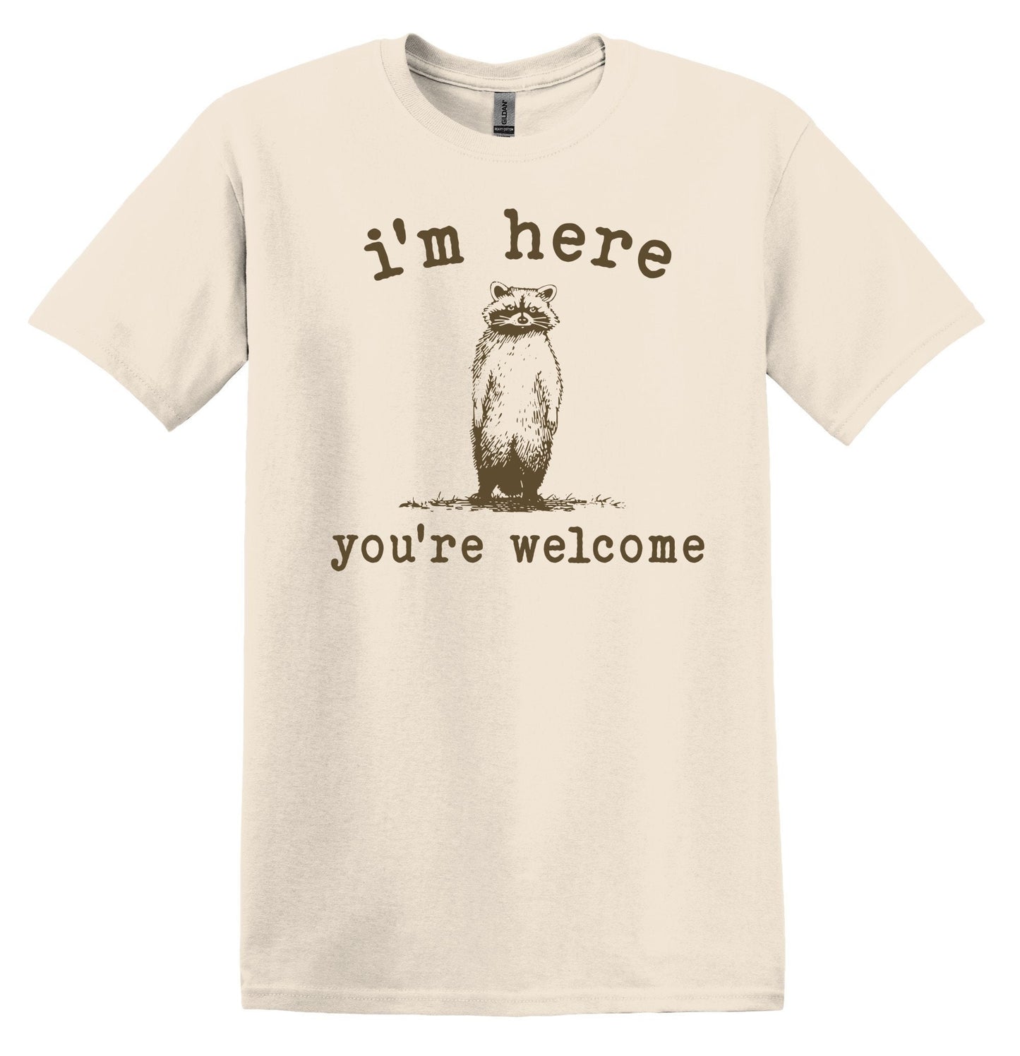 I'm Here You're Welcome Shirt Graphic Shirt Funny Vintage Shirt Nostalgia Shirt Minimalist Gag Shirt Meme Tshirt Gag Gift Trendy Funny Shirt