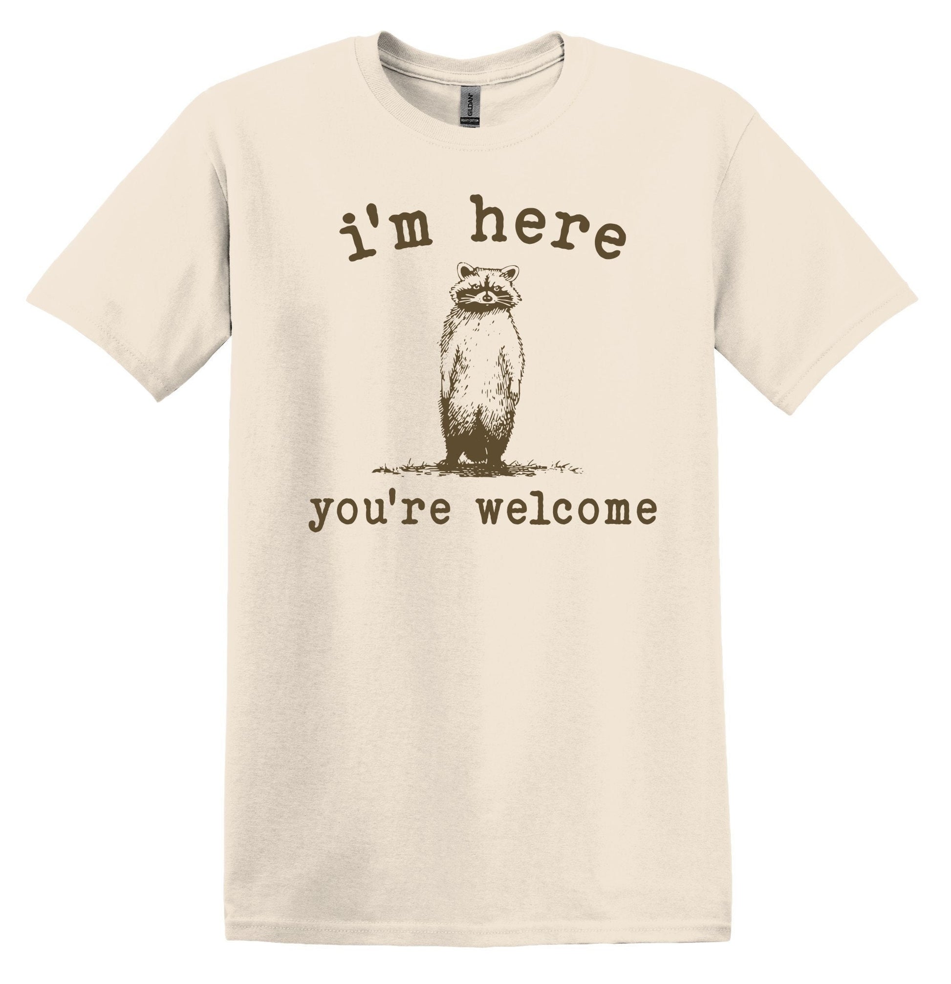 I'm Here You're Welcome Shirt Graphic Shirt Funny Vintage Shirt Nostalgia Shirt Minimalist Gag Shirt Meme Tshirt Gag Gift Trendy Funny Shirt