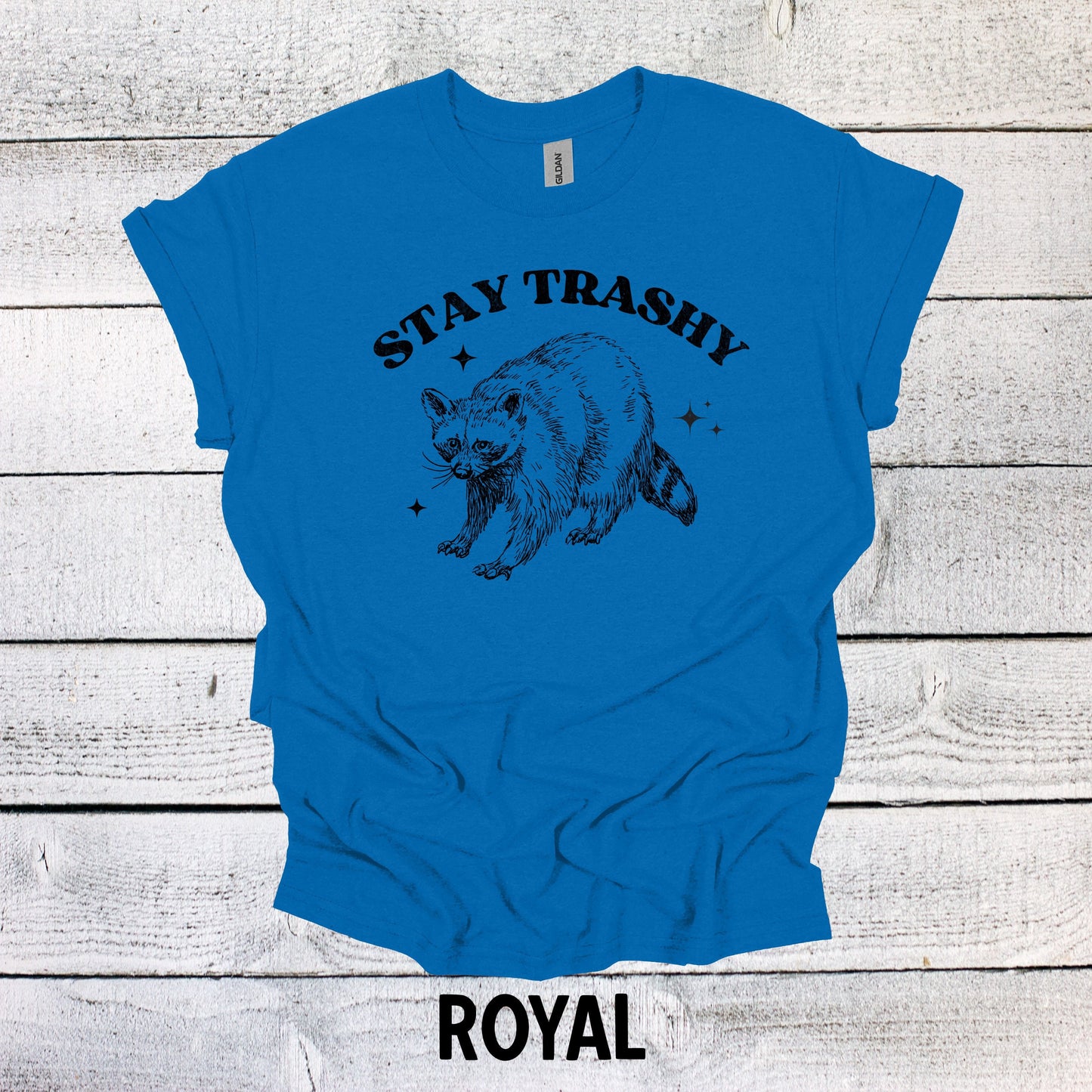 Stay Trashy Raccoon Shirt - Funny Graphic Tee