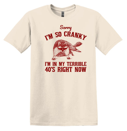 Sorry I'm so Cranky I'm in my Terrible 40s Right Now Shirt Raccoon Shirt Funny Birthday Shirt 40th Birthday Nostalgia Shirt Birthday Shirt