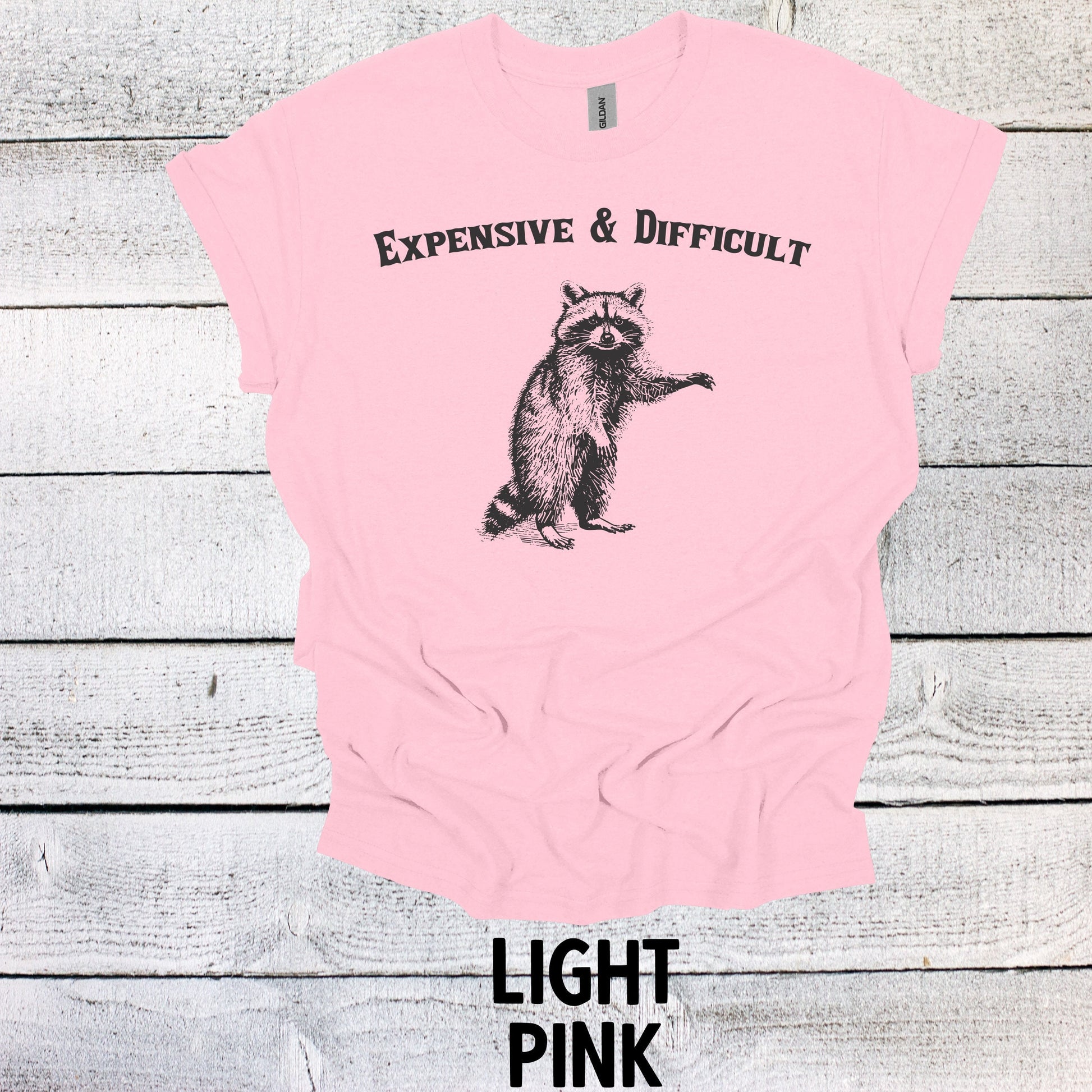 Expensive and Difficult Raccoon Shirt Funny Vintage Shirt Nostalgia Shirt Minimalist Gag Shirt Meme Shirt