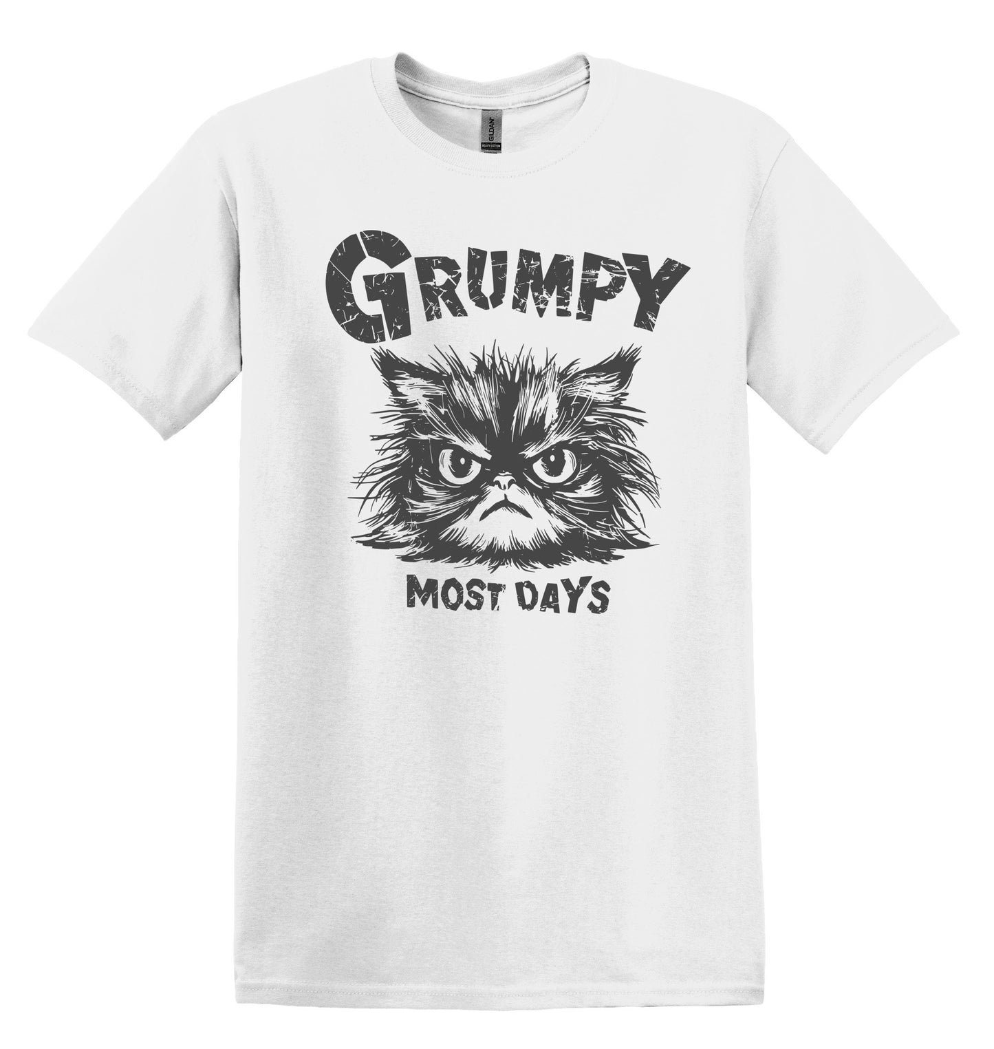 Grumpy Most Days Grey Shirt Graphic Shirt Retro Adult Shirt Vintage T-Shirt Cotton Tee Meme Shirt Trendy T-Shirt Funny Gift