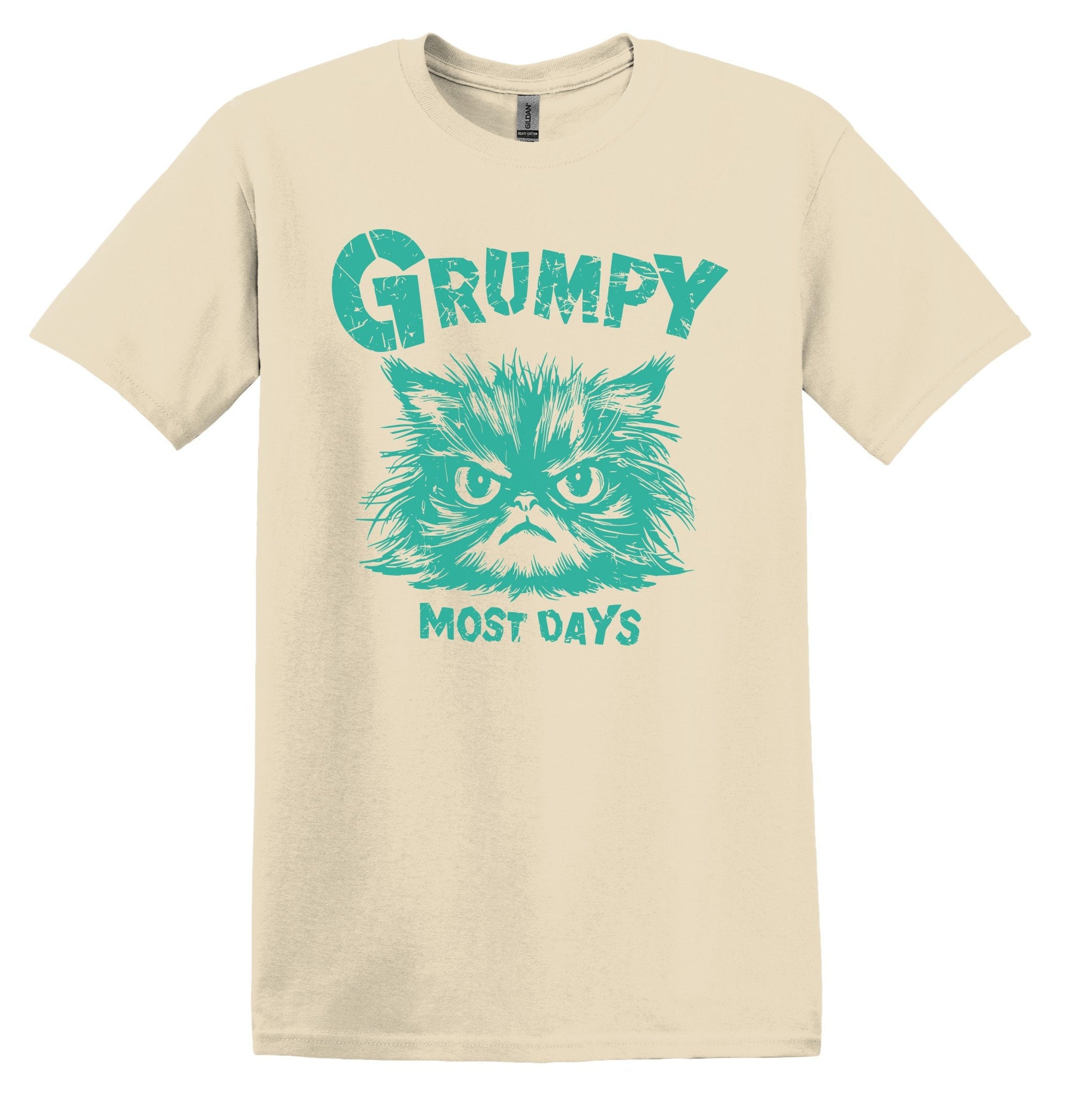 Grumpy Most Days Green Shirt Graphic Shirt Retro Adult Shirt Vintage T-Shirt Cotton Tee Meme Shirt Trendy T-Shirt Funny Gift