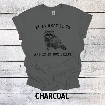 Funny Raccoon Shirt - It is What it is and it is Not Great Graphic Tee