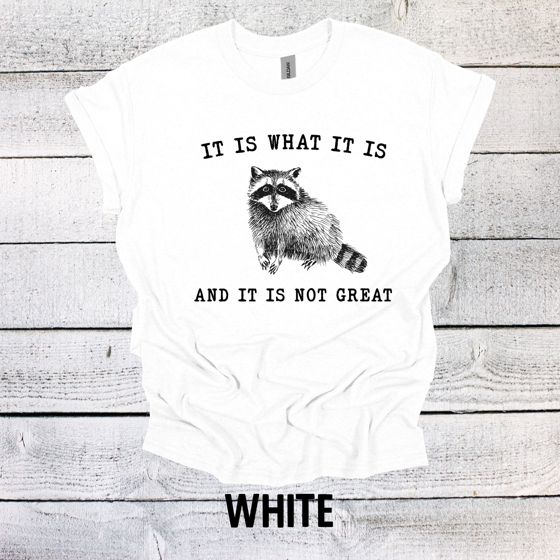 Funny Raccoon Shirt - It is What it is and it is Not Great Graphic Tee