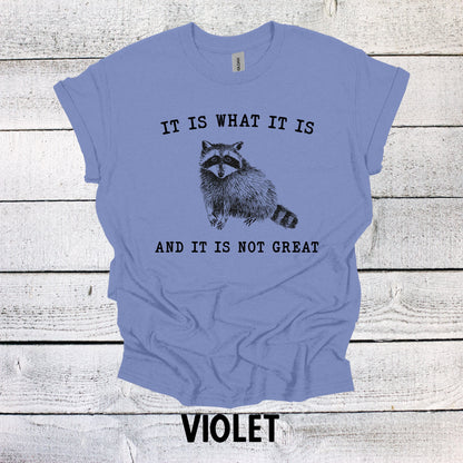 Funny Raccoon Shirt - It is What it is and it is Not Great Graphic Tee