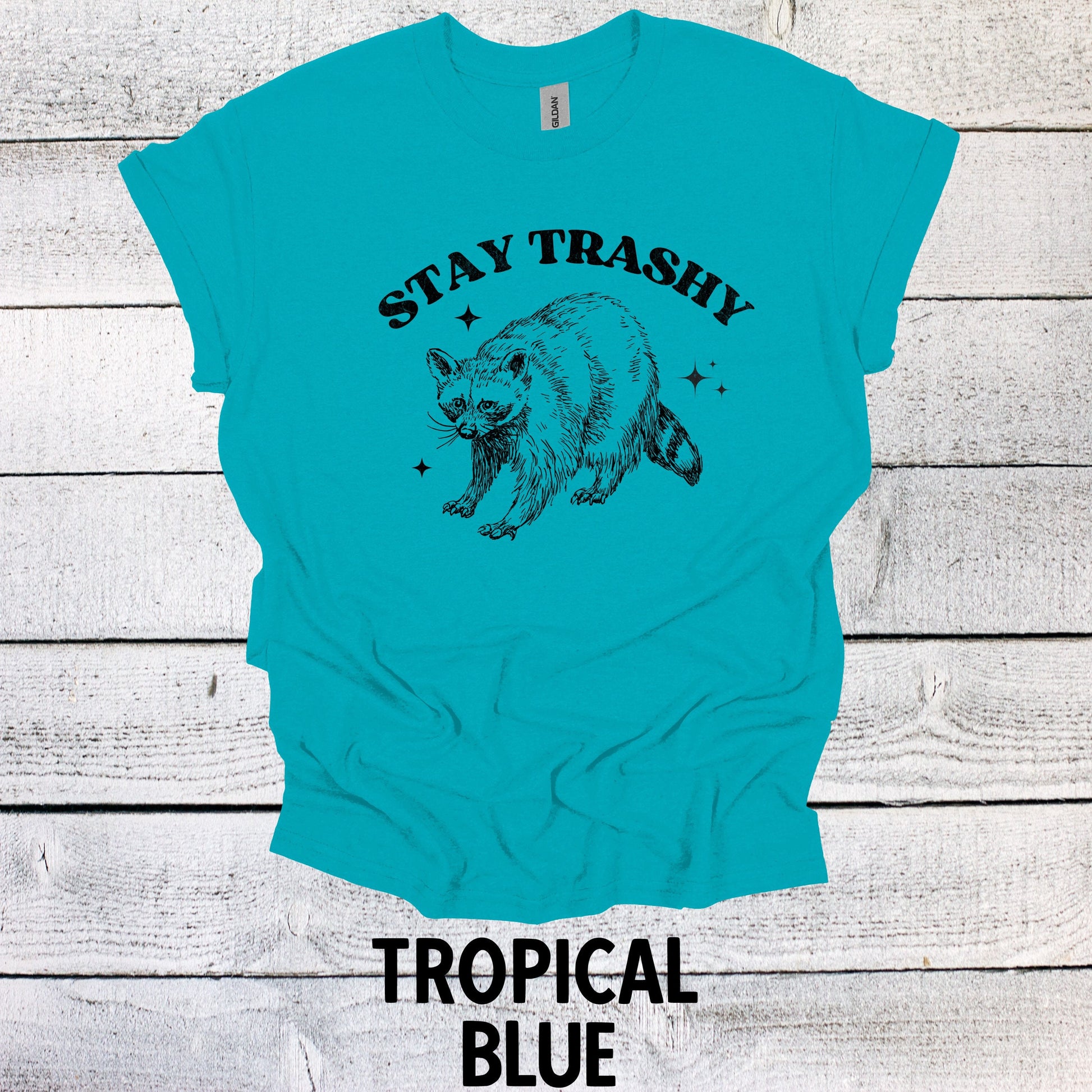 Stay Trashy Raccoon Shirt - Funny Graphic Tee