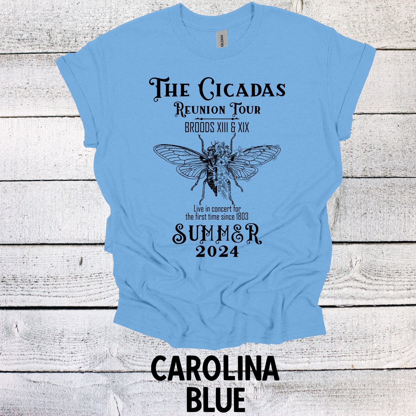 Vintage The Cicadas Summer 2024 Graphic Tee - Retro Nature Lover Shirt - Trendy Bug Print Top for Nature Enthusiasts