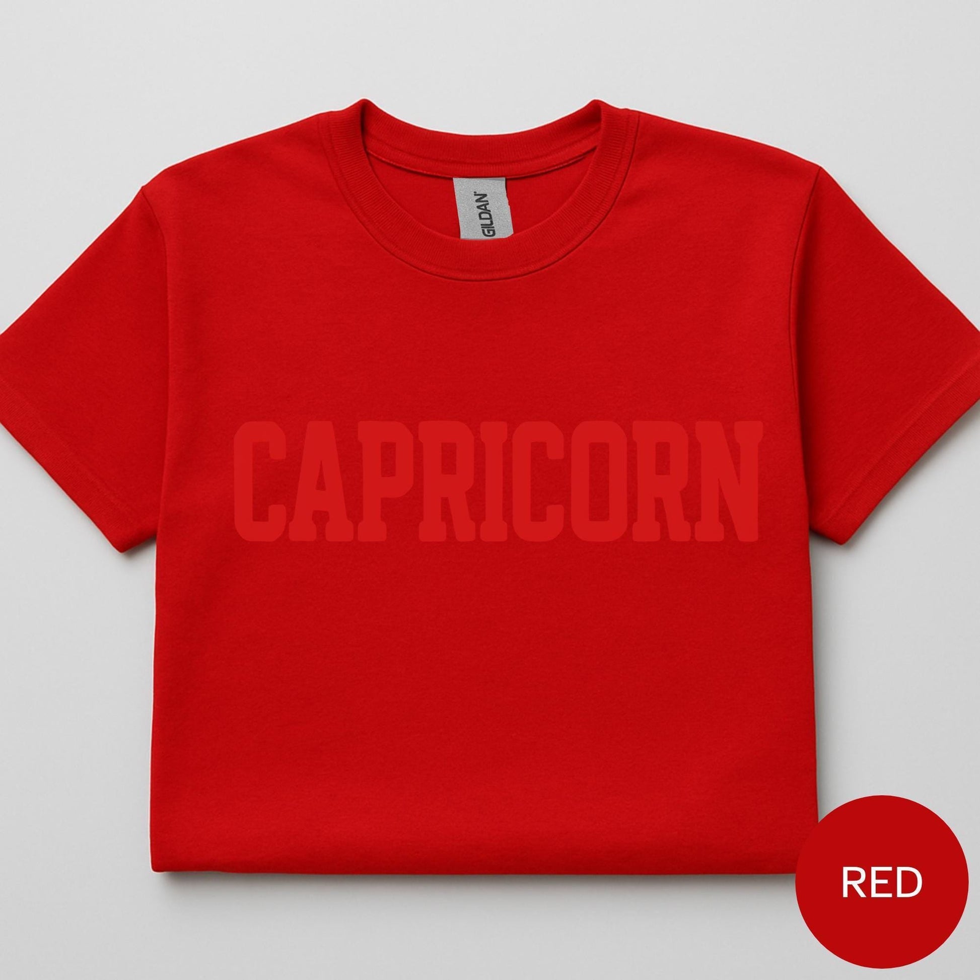 RED Capricorn Zodiac Puff Print Sweatshirt T-shirt Hoodie Birthday Astrology Top