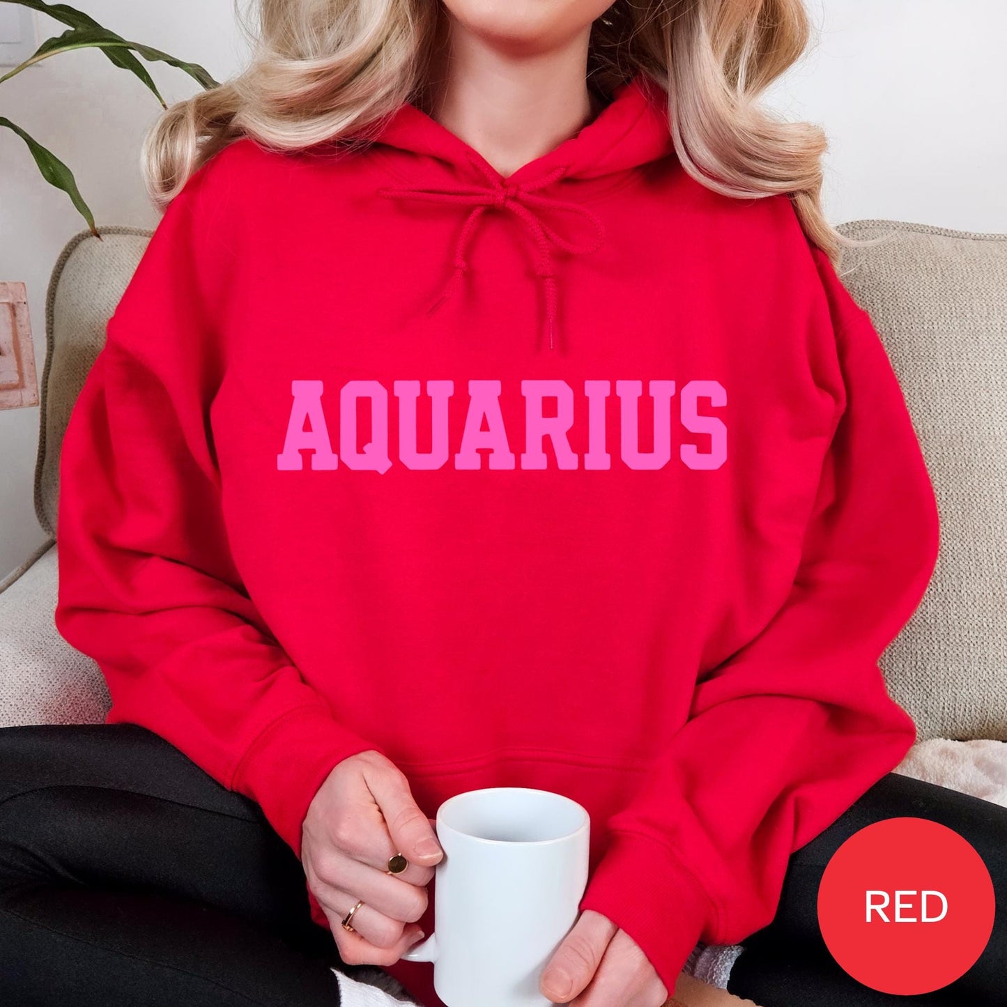 AQUARIUS Zodiac Puff Print HOODIE Birthday Horoscope