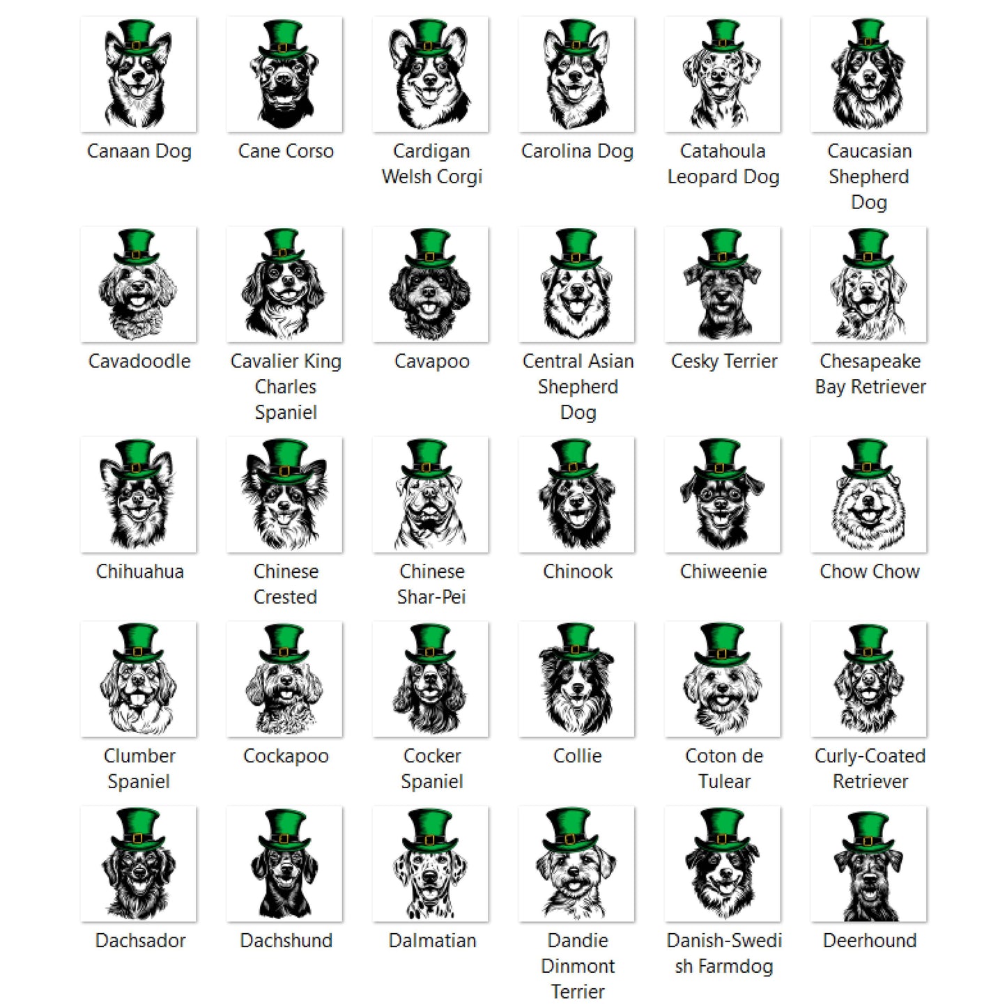St. Patrick's Day Dog Lover You Choose Graphic T-shirt or Sweatshirt