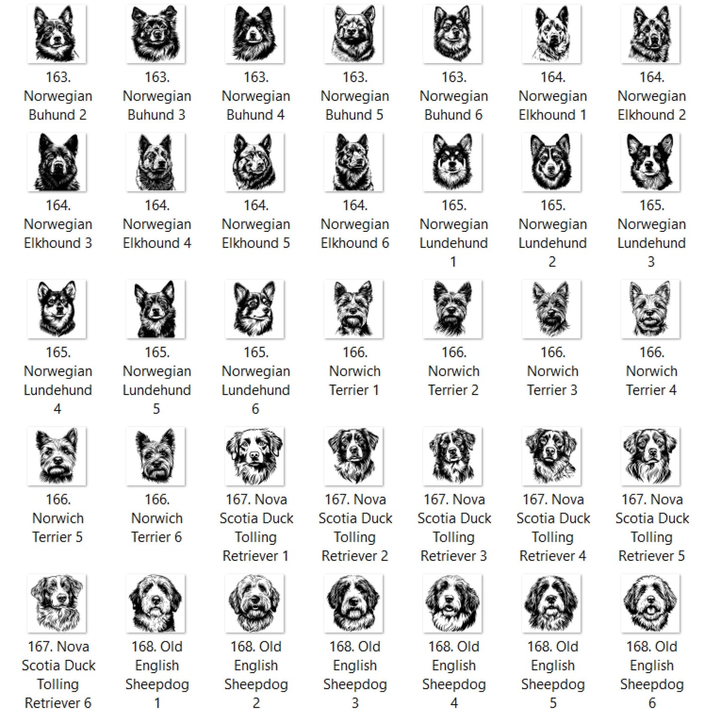Dog Outline You Choose E-P Graphic T-shirt or Sweatshirt