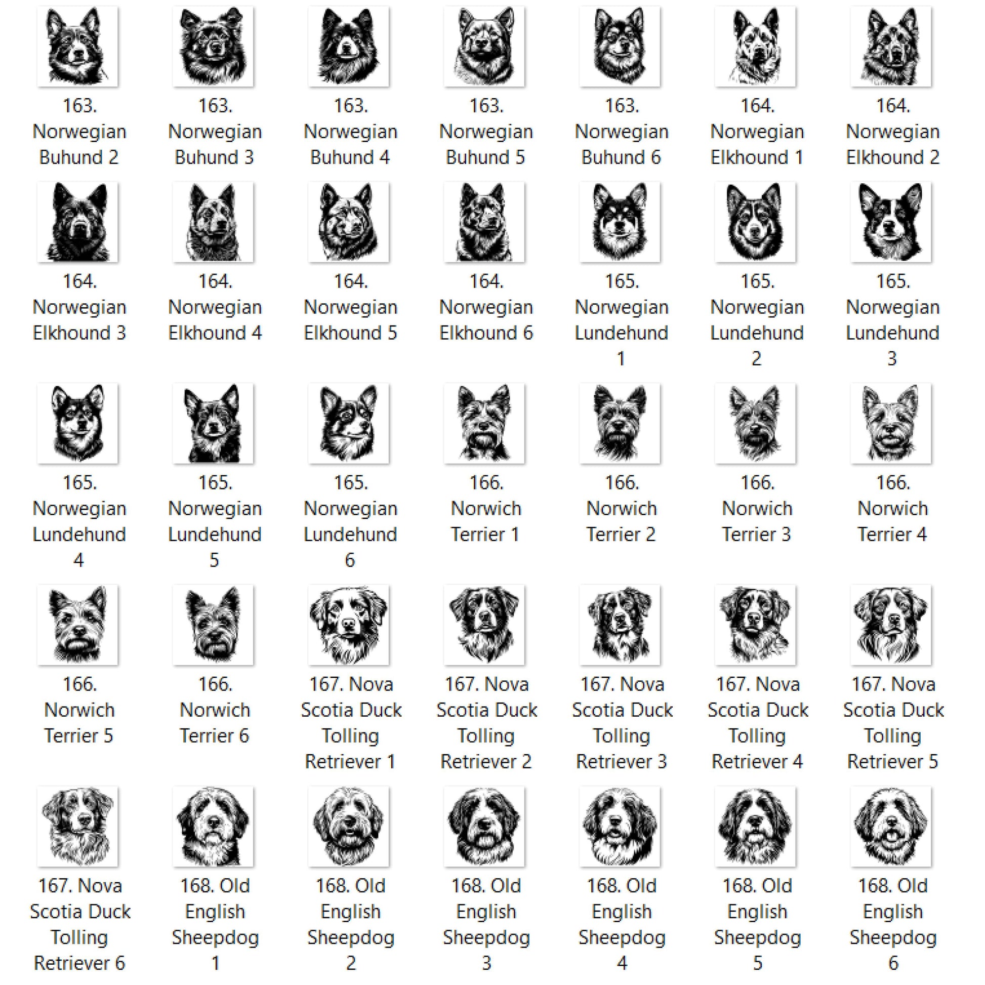 Dog Outline You Choose E-P Graphic T-shirt or Sweatshirt