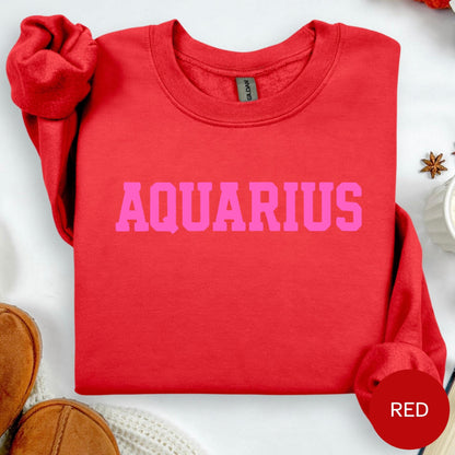 HOT PINK on RED Aquarius Zodiac Puff Print Sweatshirt T-shirt Hoodie Birthday Astrology Top