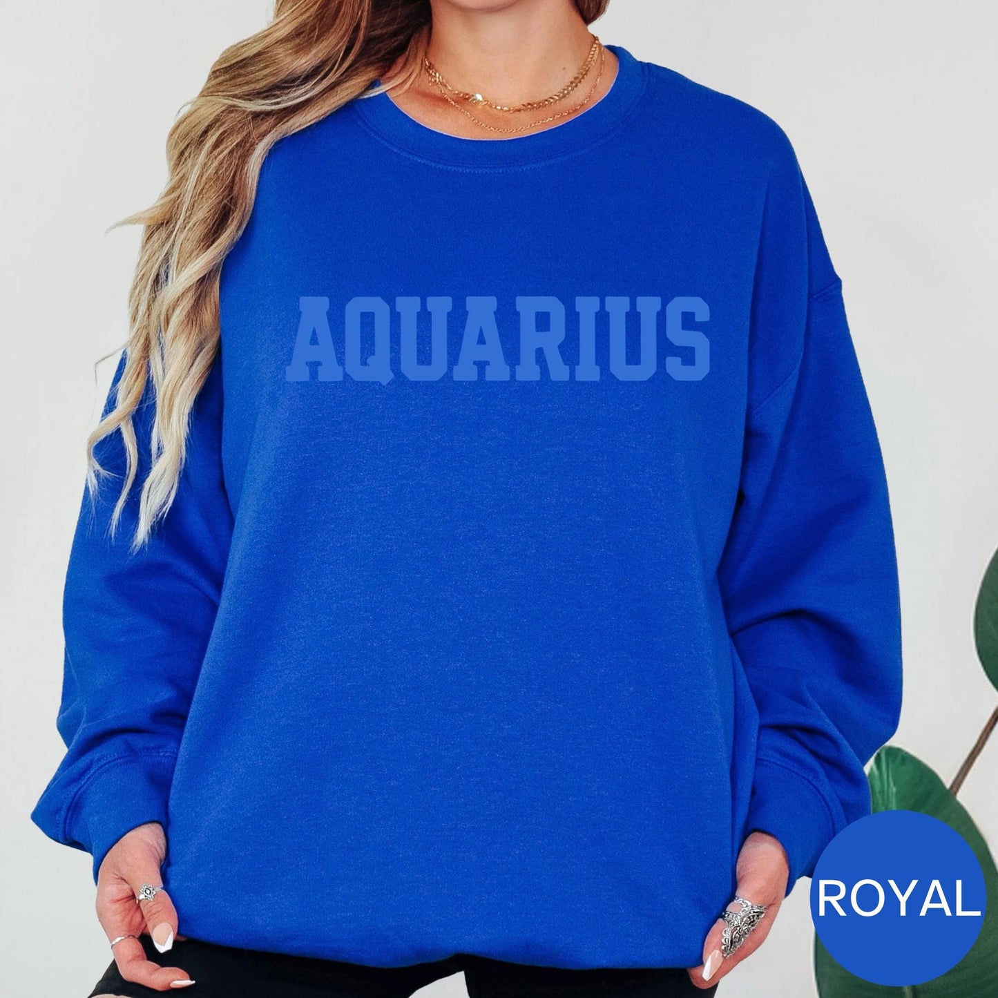 AQUARIUS Zodiac Puff Print SWEATSHIRT Birthday Horoscope