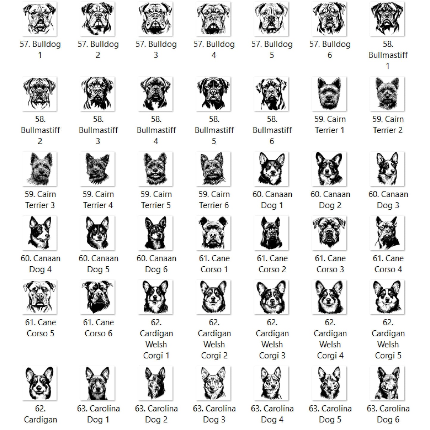 Dog Outline You Choose A-E Graphic T-shirt or Sweatshirt