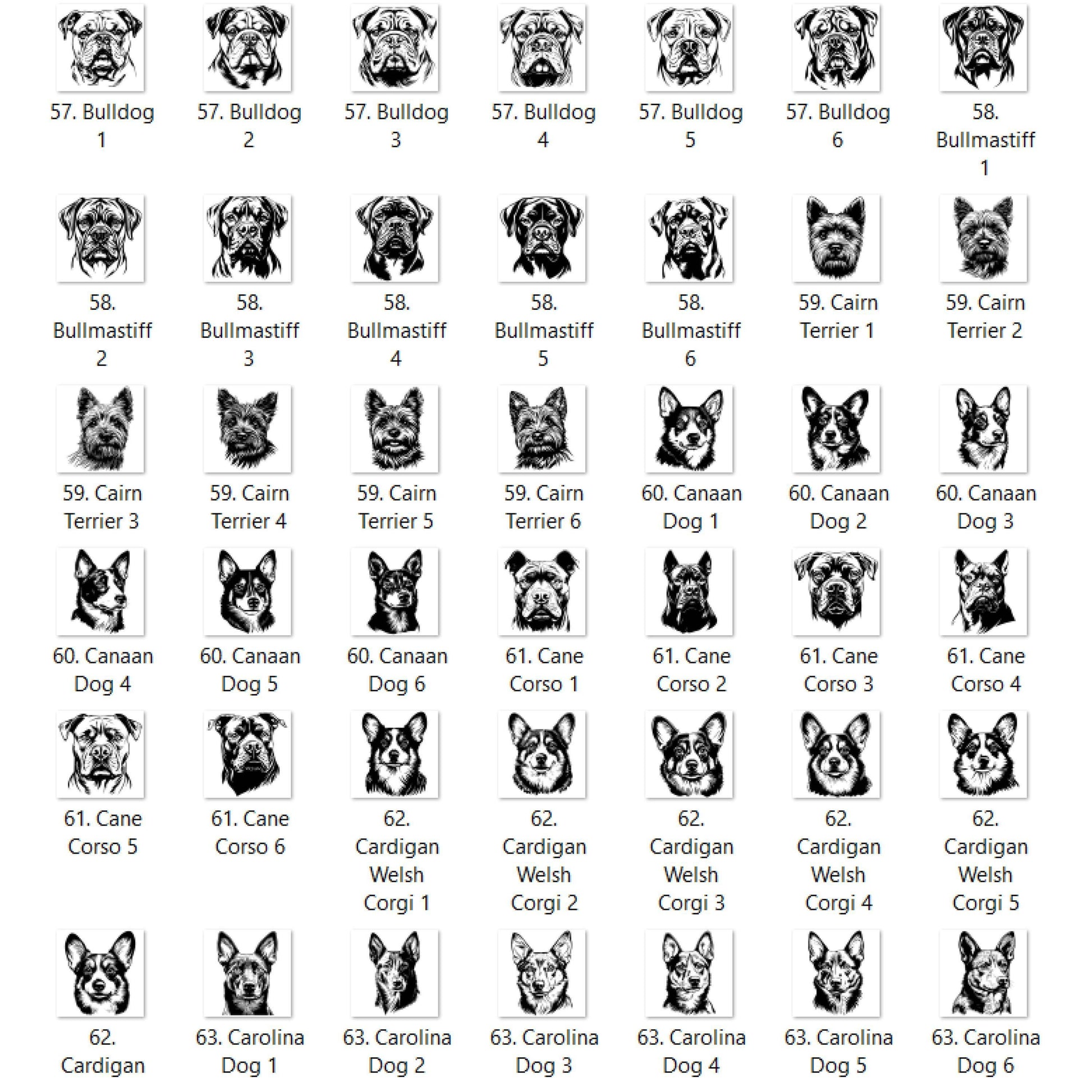 Dog Outline You Choose A-E Graphic T-shirt or Sweatshirt