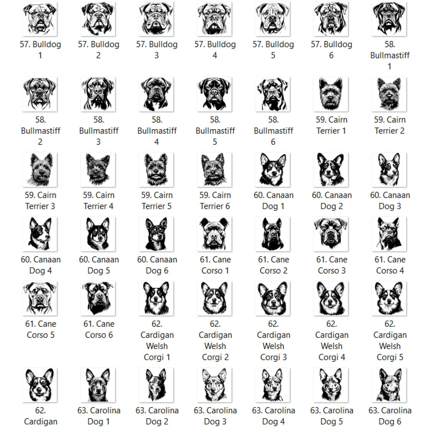 Dog Outline You Choose A-E Graphic T-shirt or Sweatshirt