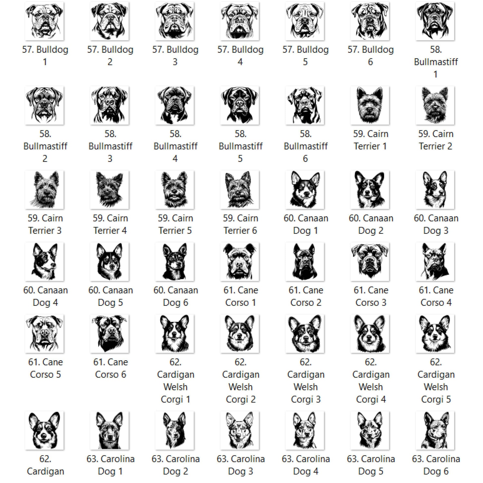 Dog Outline You Choose A-E Graphic T-shirt or Sweatshirt