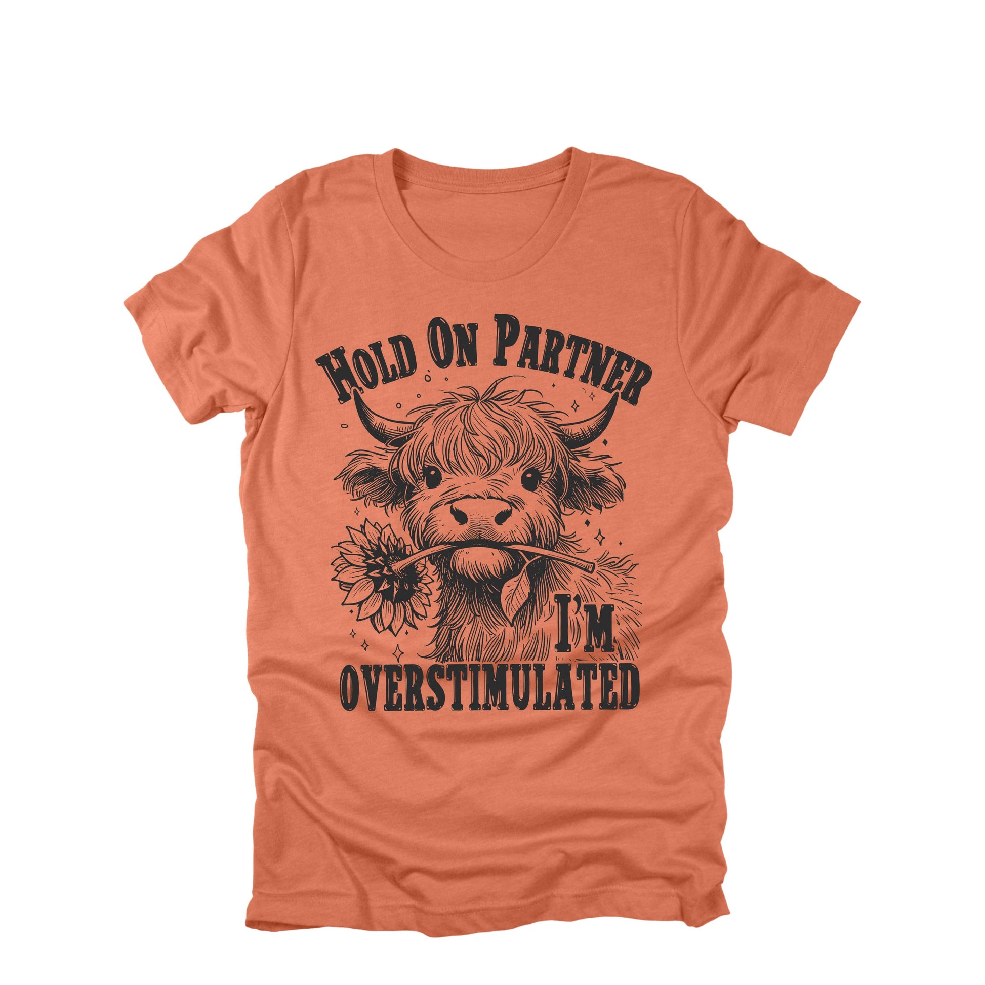 Hold On Partner Im Overstimulated Highland Cow Funny Western Graphic Tee