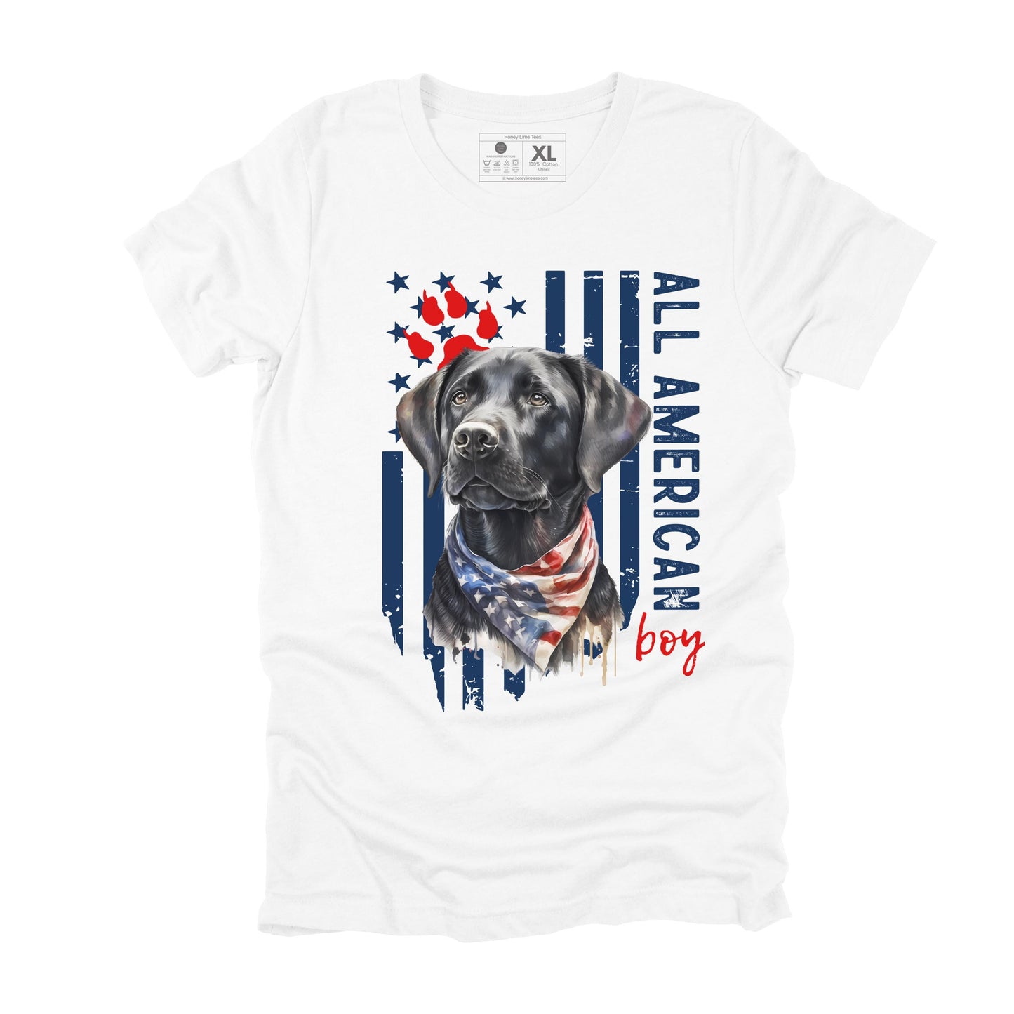 Mens Funny T Shirts American Boy Lab Shirt Sarcastic Graphic Novelty Tee for Men