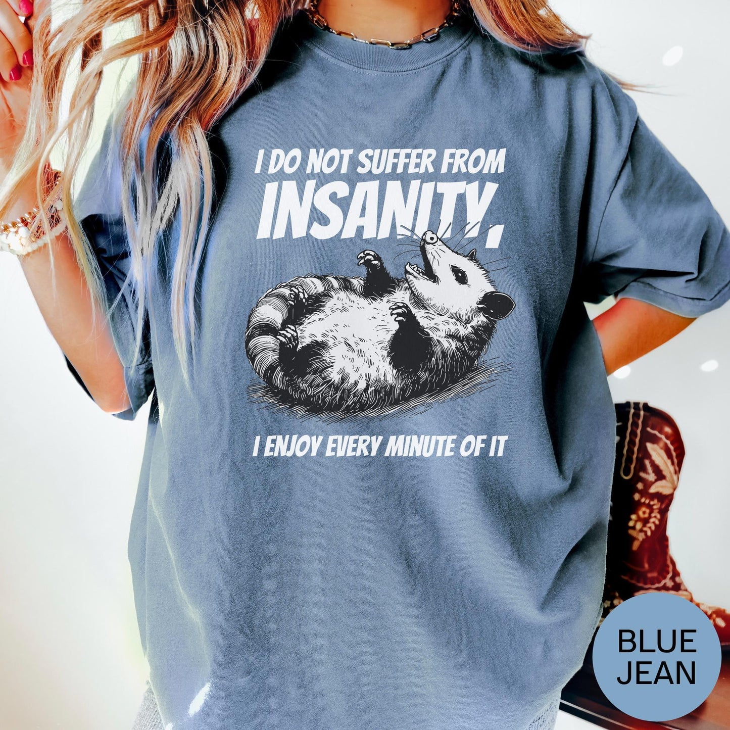 I Do Not Suffer From Insanity T-shirt, Comfort Colors Unisex Tee, Casual Humorous Graphic Tee, Cozy Sweatshirt, Sarcastic Relaxed Hoodie