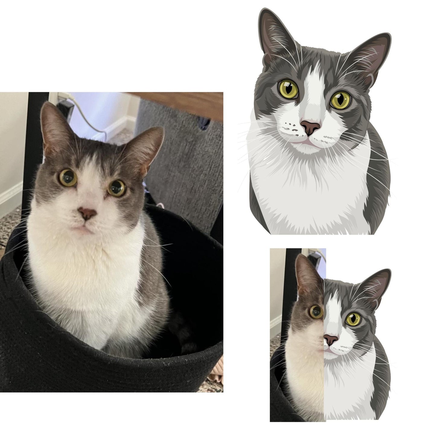Custom Cat Portrait Shirt, Hand Drawn Cat Shirt, Personalized Cat T Shirt, Pet Portrait Tee, Comfort Colors Shirt, Cat Lover Gift