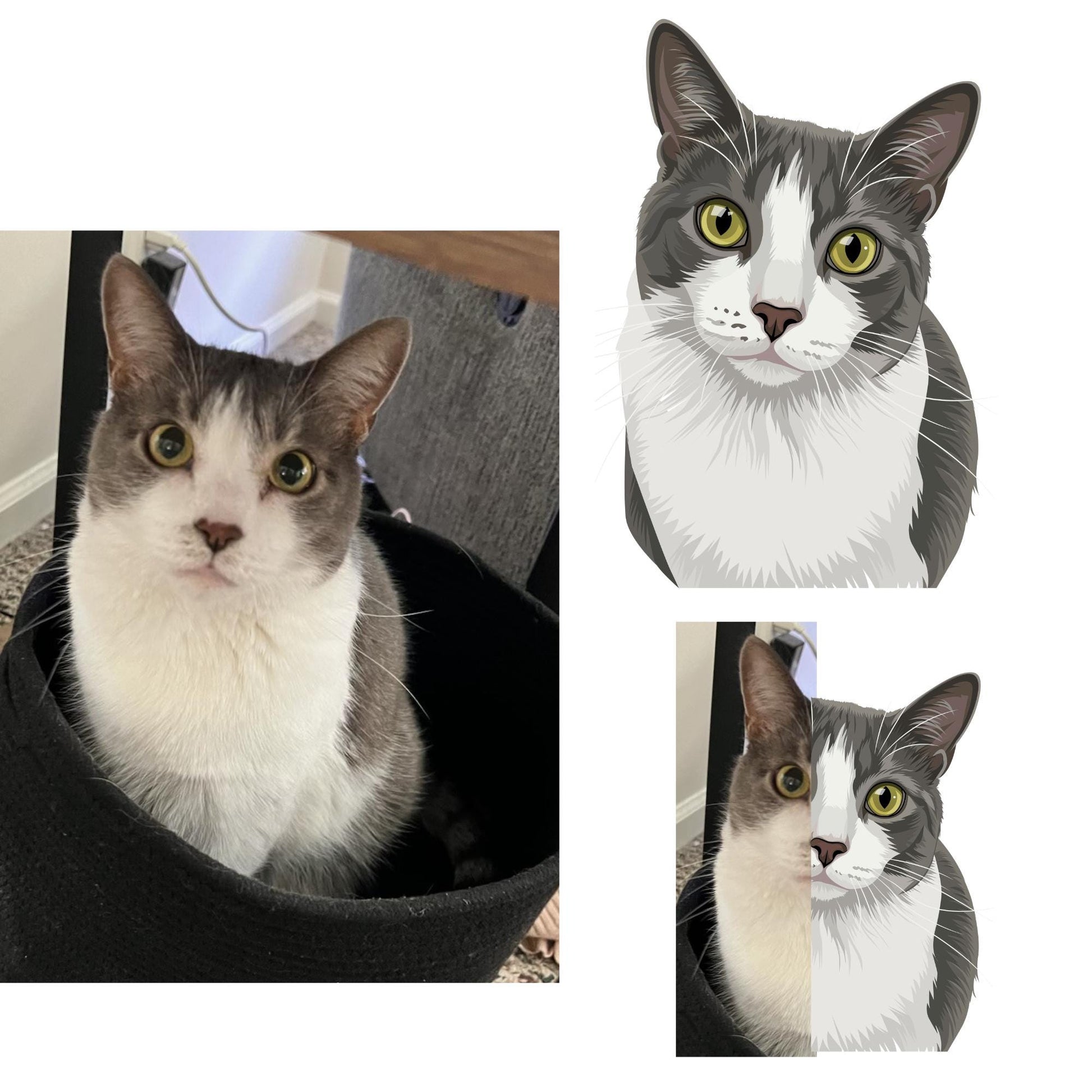 Custom Cat Portrait Shirt, Hand Drawn Cat Shirt, Personalized Cat T Shirt, Pet Portrait Tee, Comfort Colors Shirt, Cat Lover Gift