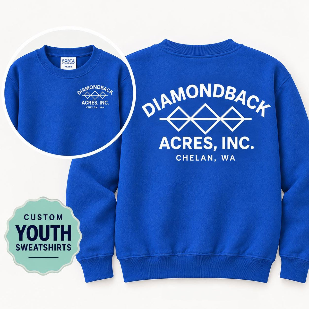 Custom Youth Sweatshirt, Kids Logo Sweatshirt, Personalized Business Logo Sweatshirt, Front and Back Logo, Port and Company